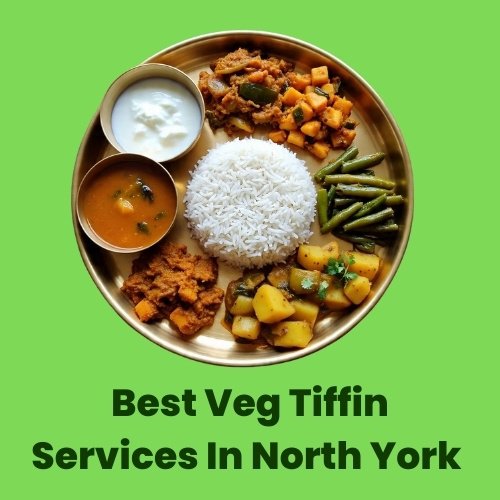 veg tiffin services in north york